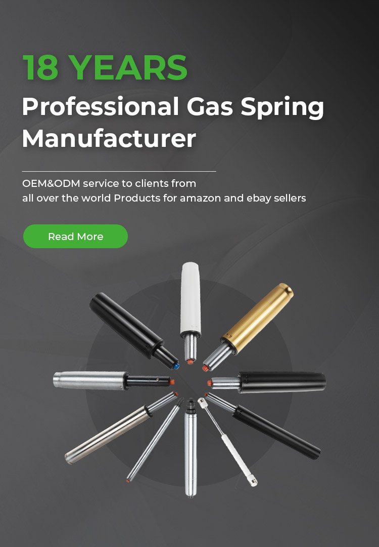 GAS SPRING